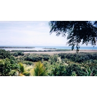 รูปถ่าย มาดากัสการ์(Madagascar) 1999-10 5