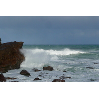 รูปถ่าย แอฟริกาใต้(South Africa) แหลมกู๊ดโฮป(Cape of Good Hope) แหลมเคปพอยต์(Cape Point) 2008-09 64