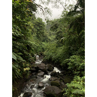 รูปถ่าย กวาเดอลูป(Guadeloupe) น้ำตกการ์เบ(Carbet Falls) 2021-02 62