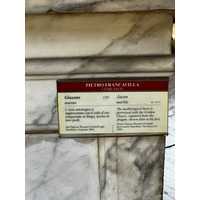 รูปถ่าย อิตาลี(Italy) ฟลอเรนซ์(Florence) พิพิธภัณฑ์บาร์เจลโล(Bargello Museum) 2022-05 80