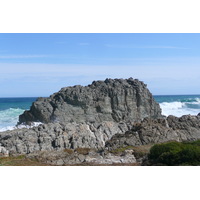 รูปถ่าย แอฟริกาใต้(South Africa) อุทยานแห่งชาติซิตซิคัมมา(Tsitsikamma National Park) 2008-09 109