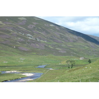 รูปถ่าย อังกฤษ(United Kingdom) อุทยานแห่งชาติแคร์นกอร์มส์(Cairngorms National Park) 2011-07 78