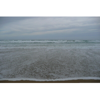 รูปถ่าย แอฟริกาใต้(South Africa) ถนนจากเฮอร์มานัสไปไนส์นา(Harmanus to Knysna road) 2008-09 122