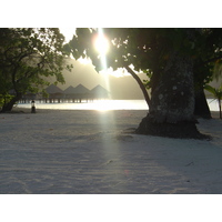 รูปถ่าย เฟรนช์โพลี่นีเซีย(Polynesia) โรงแรมเลอเมอริเดียน โบราโบรา(Meridien Bora Bora Hotel) 2006-04 232