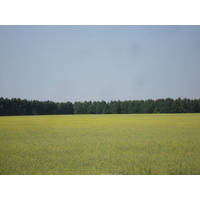 รูปถ่าย รัสเซีย(Russia) จากอูฟาไปคาซาน(From Ufa to Kazan) 2006-07 63