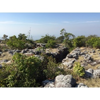 รูปถ่าย ไทย(Thailand) อุทยานแห่งชาติภูหินร่องกล้า(Phu Hin Rong Kla National Park) 2014-12 192