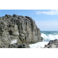 รูปถ่าย แอฟริกาใต้(South Africa) อุทยานแห่งชาติซิตซิคัมมา(Tsitsikamma National Park) 2008-09 442
