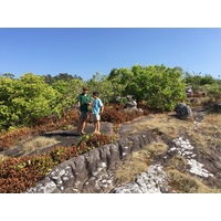 รูปถ่าย ไทย(Thailand) อุทยานแห่งชาติภูหินร่องกล้า(Phu Hin Rong Kla National Park) 2014-12 237