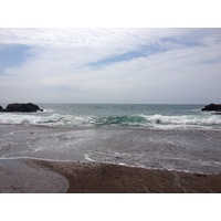 รูปถ่าย คอสตาริกา(Costa Rica) มอนเตซูมา(Montezuma) 2015-03 568