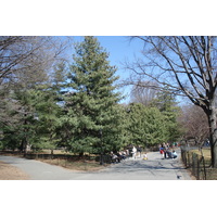 รูปถ่าย สหรัฐอเมริกา(United States) นิวยอร์ก(New York) เซ็นทรัลพาร์ก(Central Park) 2006-03 36