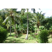 รูปถ่าย เซเชลส์(Seychelles) เกาะปราลิน(Praslin) 2011-10 72