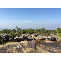 รูปถ่าย ไทย(Thailand) อุทยานแห่งชาติภูหินร่องกล้า(Phu Hin Rong Kla National Park) 2014-12 263