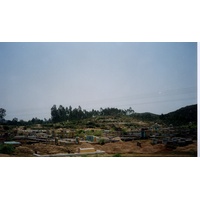 รูปถ่าย เวียดนาม(Vietnam) 1996-03 109
