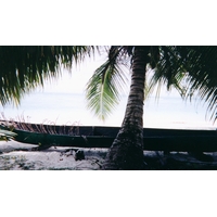 รูปถ่าย มาดากัสการ์(Madagascar) เกาะแซ็งต์-มารี(Sainte Marie) 1999-10 13