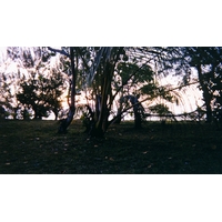 รูปถ่าย มาดากัสการ์(Madagascar) เกาะแซ็งต์-มารี(Sainte Marie) 1999-10 8