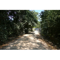 รูปถ่าย ไทย(Thailand) เกาะเสม็ด(Ko Samet) 2009-01 92