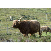 รูปถ่าย อังกฤษ(United Kingdom) เกาะสกาย(Skye) เทือกเขาคูลิน(The Cuillin) 2011-07 101