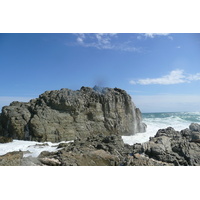 รูปถ่าย แอฟริกาใต้(South Africa) อุทยานแห่งชาติซิตซิคัมมา(Tsitsikamma National Park) 2008-09 447