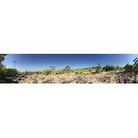 รูปถ่าย ไทย(Thailand) อุทยานแห่งชาติภูหินร่องกล้า(Phu Hin Rong Kla National Park) 2014-12 421