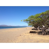 รูปถ่าย คอสตาริกา(Costa Rica) ปุนตาเรนัส(Puntarenas) 2015-03 122