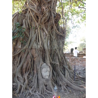 รูปถ่าย ไทย(Thailand) อยุธยา(Ayutthaya) 2011-12 29