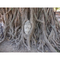 รูปถ่าย ไทย(Thailand) อยุธยา(Ayutthaya) 2011-12 11