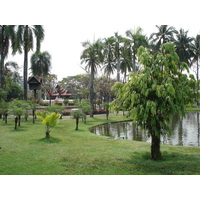รูปถ่าย ไทย(Thailand) เชียงใหม่(Chiang Mai) ข้างในคุเมืองเชียงใหม่(Inside Canal) สวนบวกหาด(Buak Had Park) 2006-04 6
