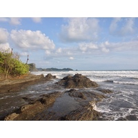รูปถ่าย คอสตาริกา(Costa Rica) โดมินิกัล(Dominical) 2015-03 70