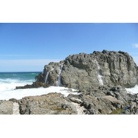 รูปถ่าย แอฟริกาใต้(South Africa) อุทยานแห่งชาติซิตซิคัมมา(Tsitsikamma National Park) 2008-09 69