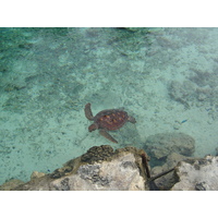 รูปถ่าย เฟรนช์โพลี่นีเซีย(Polynesia) โรงแรมเลอเมอริเดียน โบราโบรา(Meridien Bora Bora Hotel) 2006-04 6