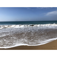 รูปถ่าย กวาเดอลูป(Guadeloupe) หาดลาแปร์ล(La Perle Beach) 2021-02 66