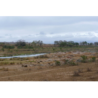 รูปถ่าย แอฟริกาใต้(South Africa) อุทยานแห่งชาติครูเกอร์(Kruger National Park) แม่น้ำครอกโคไดล์(Crocodile River) 2008-09 69