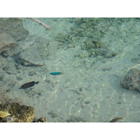 รูปถ่าย เฟรนช์โพลี่นีเซีย(Polynesia) โรงแรมเลอเมอริเดียน โบราโบรา(Meridien Bora Bora Hotel) 2006-04 46