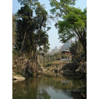 รูปถ่าย ไทย(Thailand) ปางมะผ้า(Pang Mapha) 2007-02 41