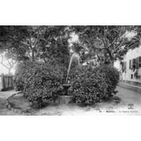 รูปถ่าย ฝรั่งเศส(France) คอร์สิคา(Corsica) โปสการ์ดเก่า(Old Postcards) บาสเทีย(Bastia) 1900-01 96