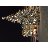 รูปถ่าย ฝรั่งเศส(France) เมแฌฟว์(Megeve) 2016-02 102