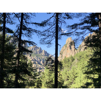 รูปถ่าย ฝรั่งเศส(France) คอร์สิคา(Corsica) หุบเขาลาเรสโตนีกา(La Restonica) 2020-07 99