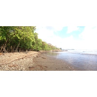 รูปถ่าย คอสตาริกา(Costa Rica) โดมินิกัล(Dominical) 2015-03 73