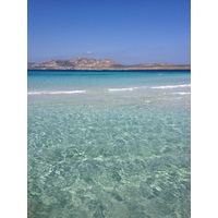 รูปถ่าย อิตาลี(Italy) ซาร์ดิเนีย(Sardinia) แหลมกาโปเดลฟัลโกเน(Capo del Falcone) 2015-06 73