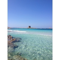 รูปถ่าย อิตาลี(Italy) ซาร์ดิเนีย(Sardinia) แหลมกาโปเดลฟัลโกเน(Capo del Falcone) 2015-06 61