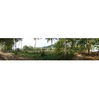 รูปถ่าย คอสตาริกา(Costa Rica) โดมินิกัล(Dominical) 2015-03 59