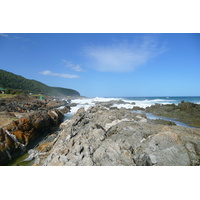 รูปถ่าย แอฟริกาใต้(South Africa) อุทยานแห่งชาติซิตซิคัมมา(Tsitsikamma National Park) 2008-09 104