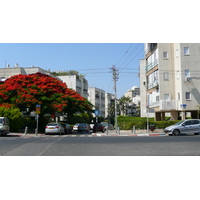 รูปถ่าย อิสราเอล(Israel) เทลอาวีฟ(Tel Aviv) ถนนจาบอตินสกี(Jabotinsky Street) 2007-06 0