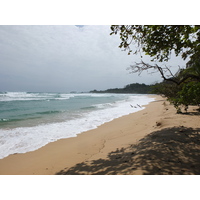 รูปถ่าย ปานามา(Panama) เกาะบาสติเมนโตส(Bastimentos) 2015-03 81