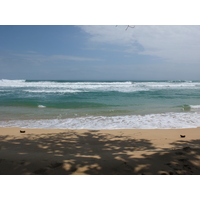 รูปถ่าย ปานามา(Panama) เกาะบาสติเมนโตส(Bastimentos) 2015-03 71
