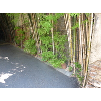 รูปถ่าย ไทย(Thailand) เชียงใหม่(Chiang Mai) ถนนราชดำเนิน(Rachadamnoen road) 2009-12 24