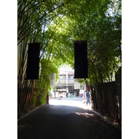 รูปถ่าย ไทย(Thailand) เชียงใหม่(Chiang Mai) ถนนราชดำเนิน(Rachadamnoen road) 2009-12 22