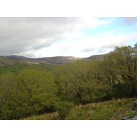 รูปถ่าย ไอร์แลนด์(Ireland) เคอร์รี่(Kerry) สวนสาธารณะคิลลาร์นีย์เนชั่นเนล(Killarney National Park) 2004-05 48