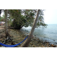 รูปถ่าย ไทย(Thailand) เกาะช้าง(Ko Chang) หาดคลองพร้าว(Klong Prao beach) 2011-02 59
