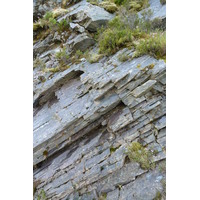 รูปถ่าย อังกฤษ(United Kingdom) เวสเตอร์รอสส์(Wester Ross) 2011-07 112